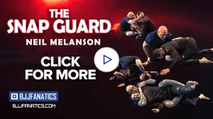 The Snap Guard by Neil Melanson